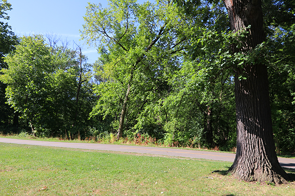 Forest Glen Woods | ChicagoHome Brokerage Network at @properties